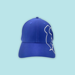 Bird Paradise Map Cap