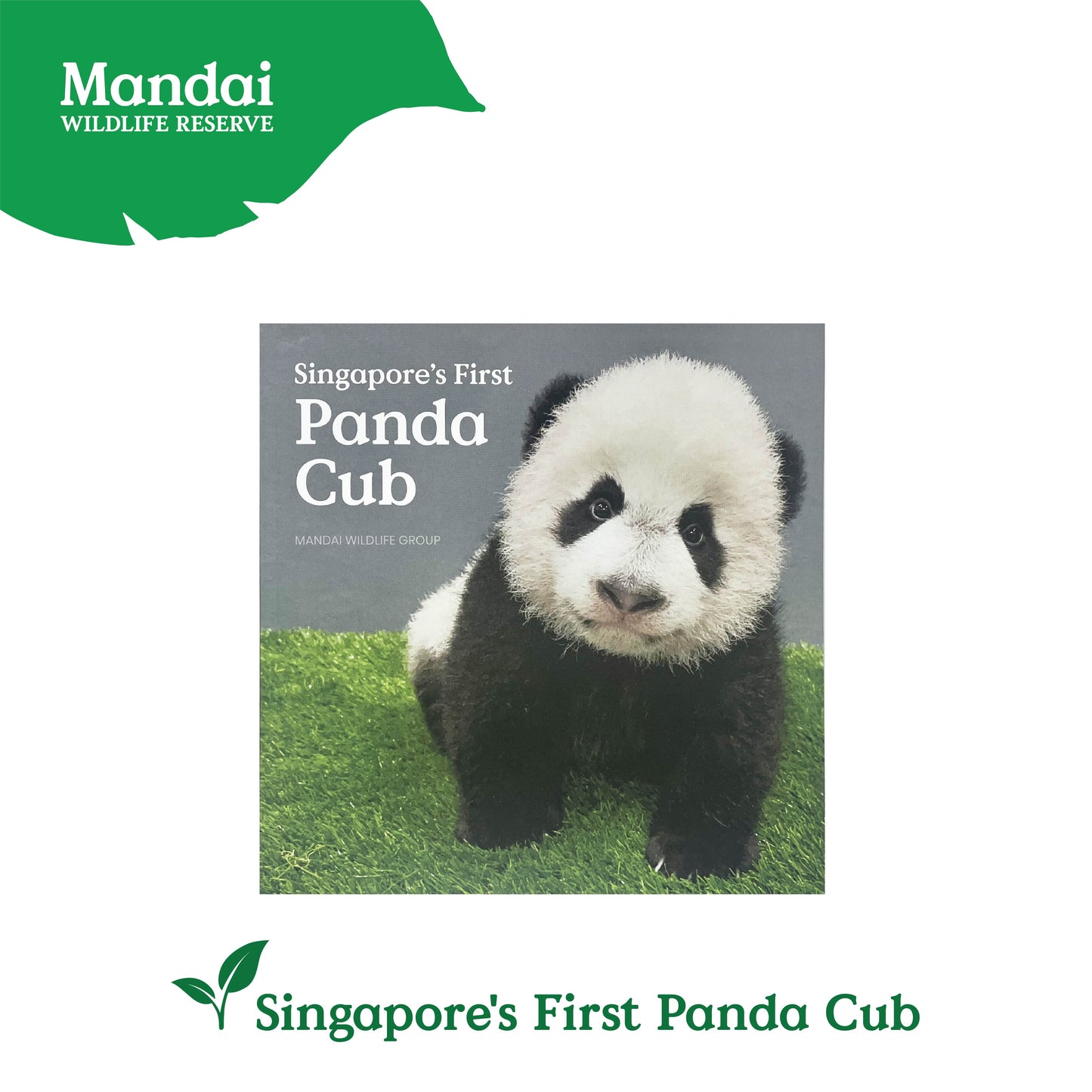 Le Le Panda Cub Children Chinese English Books MANDAI WILDLIFE RESERVE