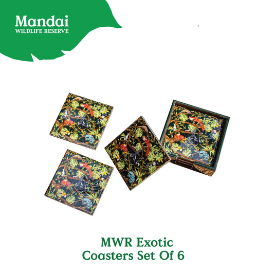 Exclusive Exotic 6 pcs Coaster Set  WILDLIFE SANCTUARY Photo Phactory Singapore Fashion Council MANDAI WILDLIFE RESERVE