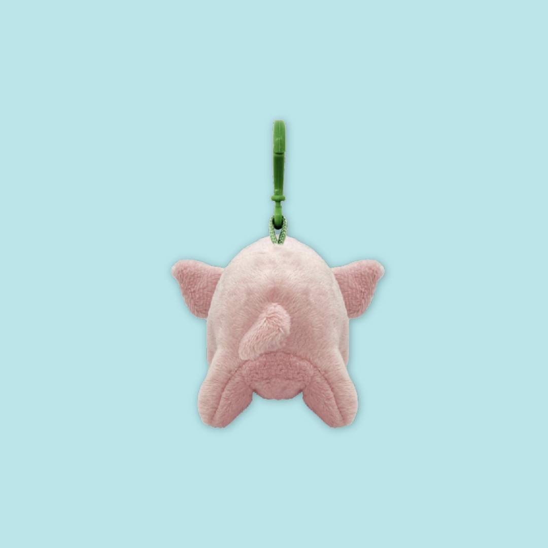 Otter Raccoon Bunny Panda Husky Bat Pig Sheep Rabbit Horse Plush Keychain - MANDAI WILDLIFE RESERVE