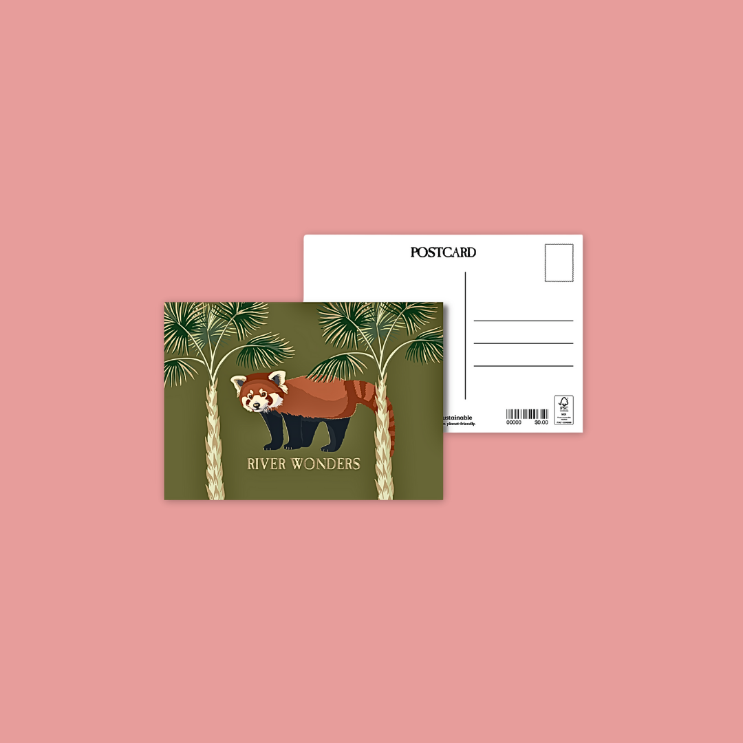 Postcard Panda Red Panda Giraffe White Tiger Elephant Malayan Tiger Mandai Collage Cockatoo  Postcard MANDAI WILDLIFE RESERVE