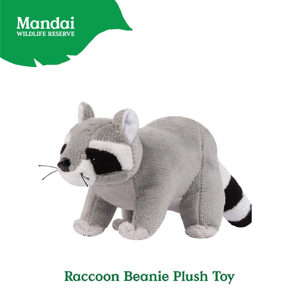 RaccoonBeaniePlushToy