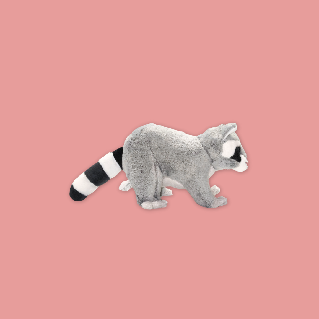 Wolf Bat Black Bear Meerkat Kangaroo Fox Raccoon  Beanie Plush Toy from MANDAI WILDLIFE RESERVE