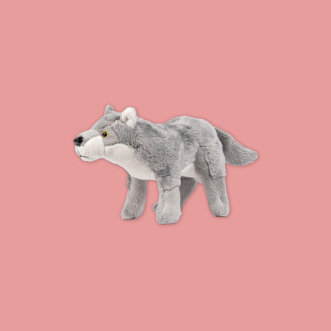 Wolf Bat Black Bear Meerkat Kangaroo Fox Raccoon  Beanie Plush Toy from MANDAI WILDLIFE RESERVE