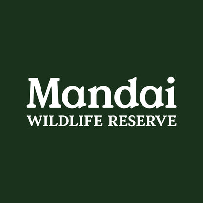 Discover Iguana Salamander at MANDAI WILDLIFE RESERVE