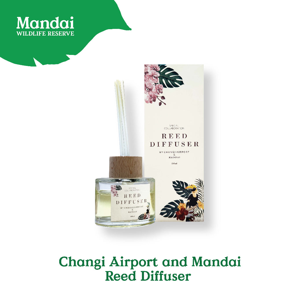 Changi Airport Scent Collaboration Room Spray Diffuser Candle Exclusive MANDAI WILDLIFE RESERVE