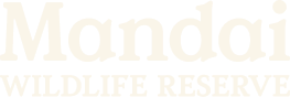 Default image